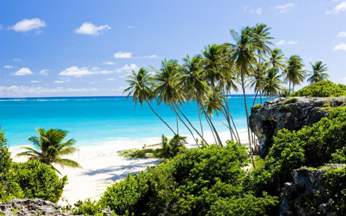 barbados did virtual phone number